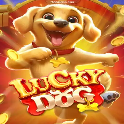 Exploring the Excitement of LuckyDog: Brazil's Trusted Gaming Experience
